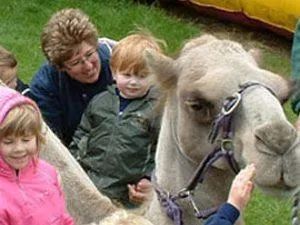 Save Up to £6 at Camel Park Oasis