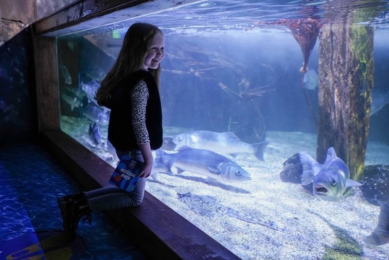 SEA LIFE Great Yarmouth