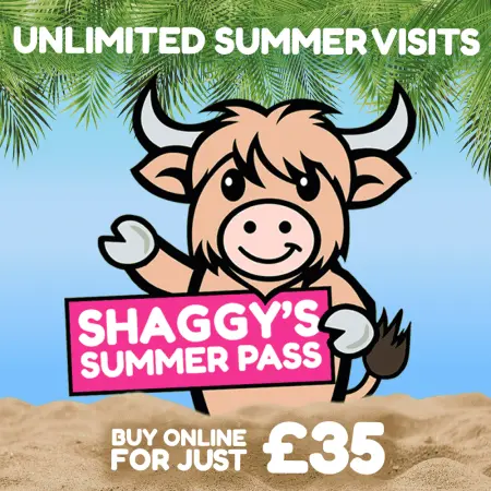 Shaggy's Summer Pass