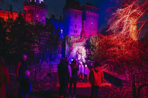 Christmas at Bute Park