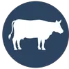 Cattle Country Farm Park