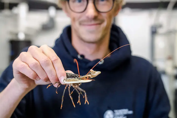 20% Off at the National Lobster Hatchery