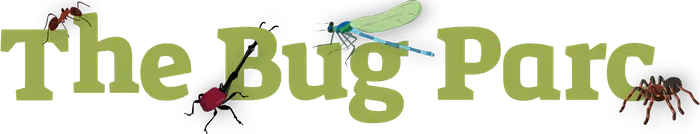 £1 Off Per Person at The Bug Parc