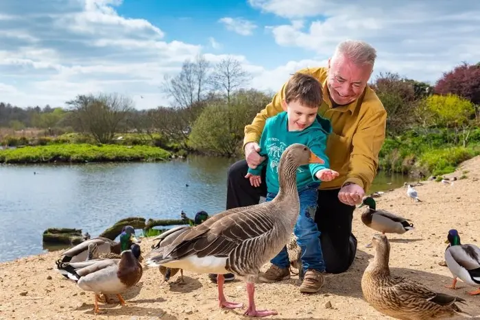 Save Up to £1.50pp at Pensthorpe Natural Park