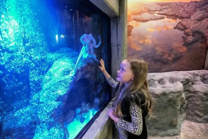 Save Up to 30% at SEA LIFE Great Yarmouth