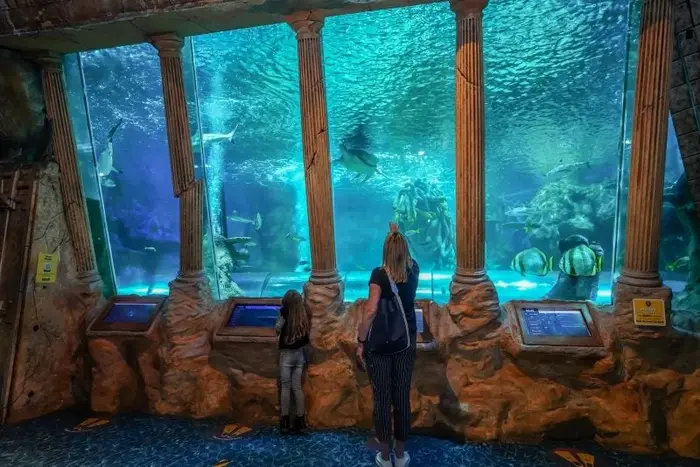 Save Up to 30% at SEA LIFE Hunstanton
